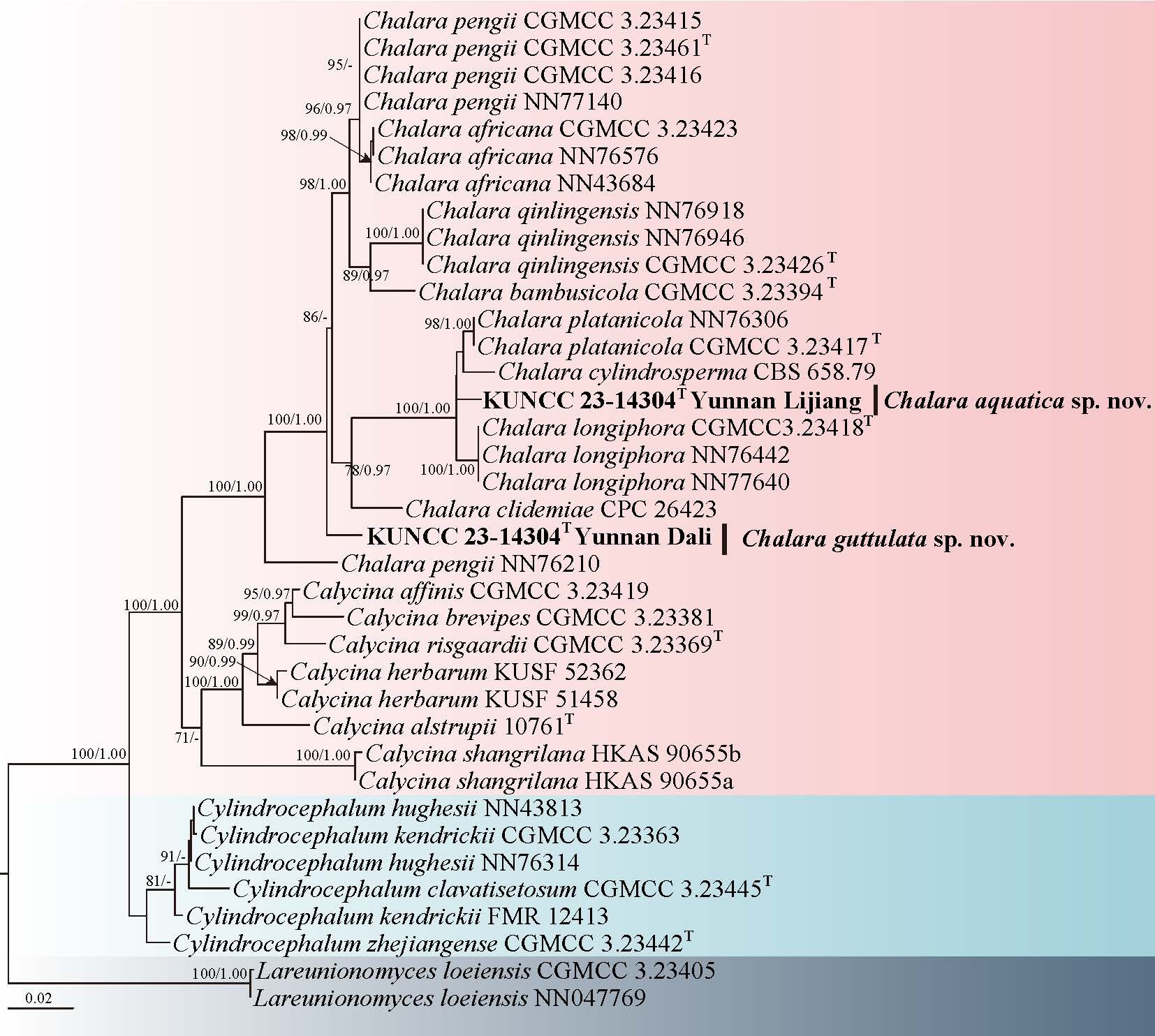 Figure 29